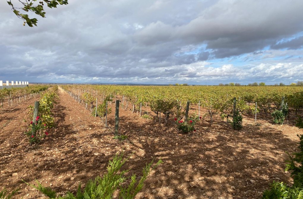 Rynek wtórny - Oferta specjalna - Albacete