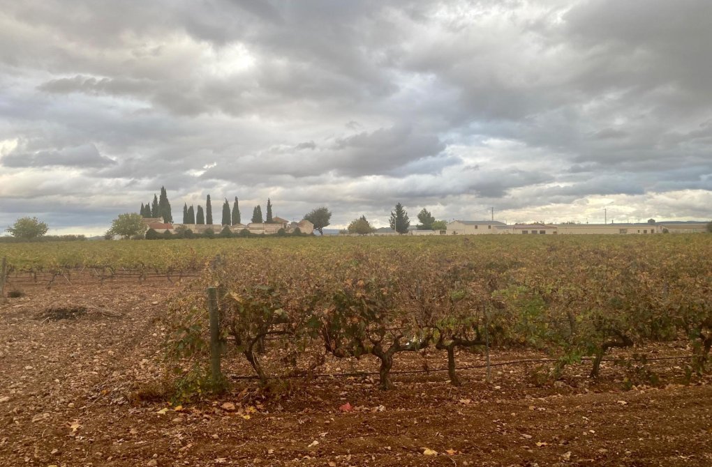 Rynek wtórny - Oferta specjalna - Albacete