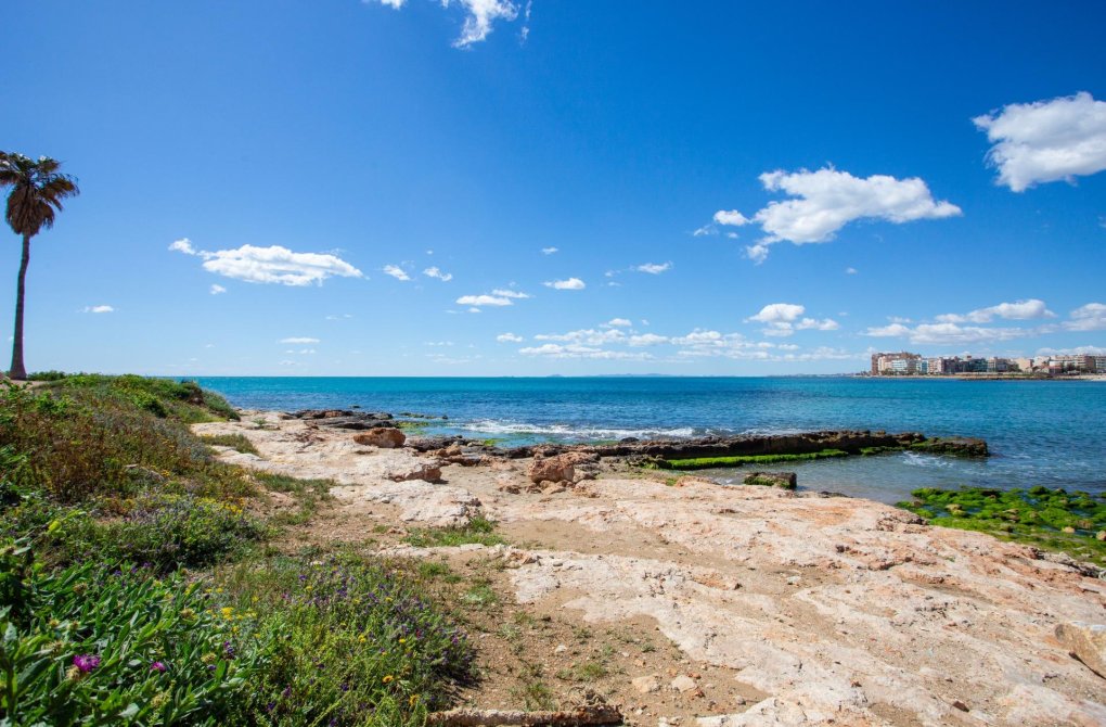 Resale - Apartment - Torrevieja - Centro - Muelle Pesquero