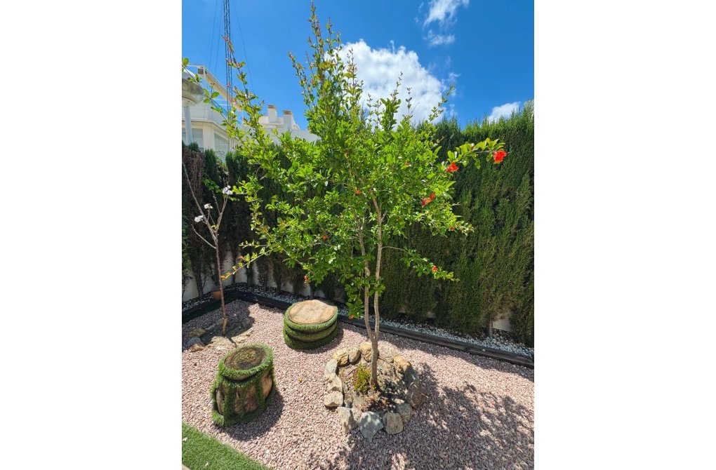 Resale - Villa - Benijofar - Costa blanca sur