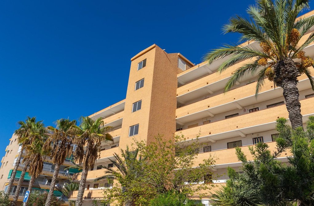 Resale - Apartment - Guardamar del Segura - Urb. pinomar