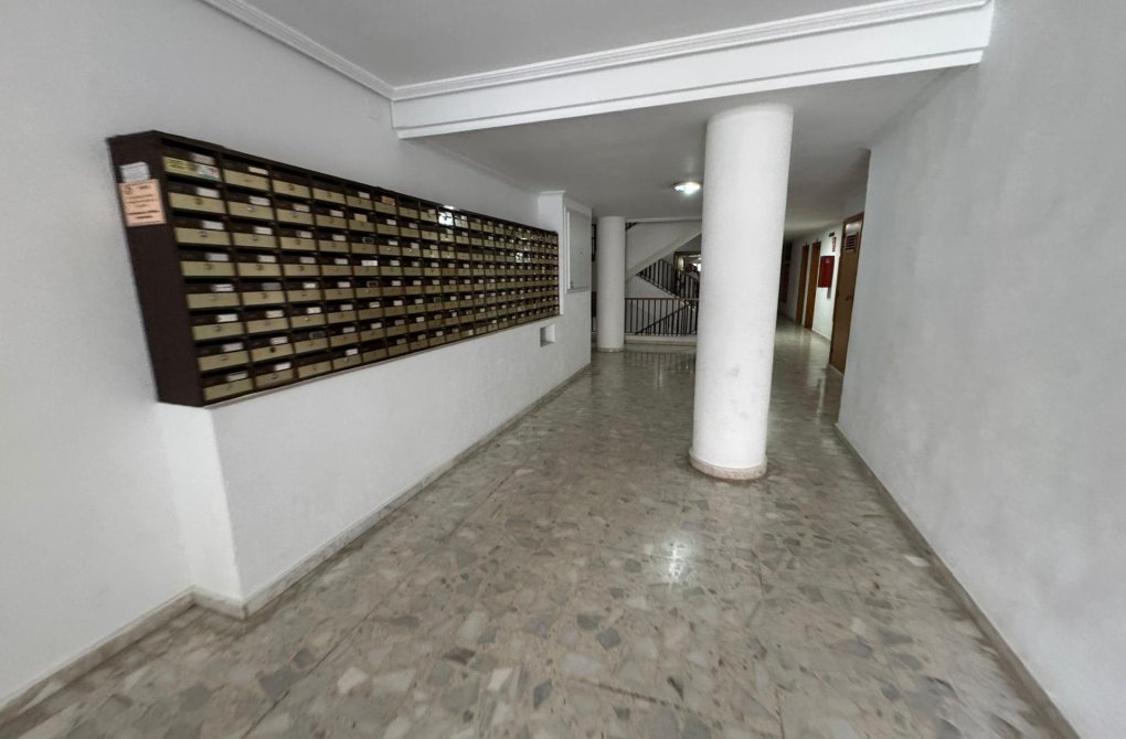 Resale - Studio - Torrevieja - Estacion de autobuses