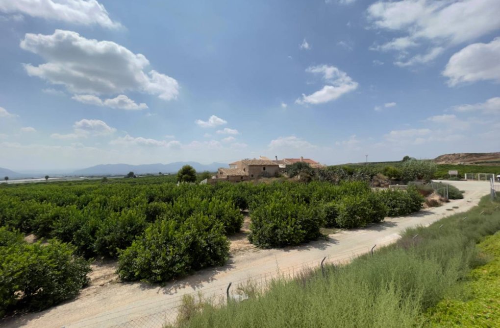 Rynek wtórny - Finca / Nieruchomość wiejska - Orihuela