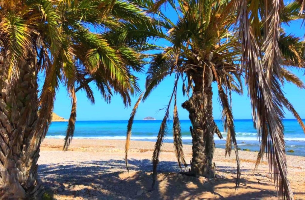 Новостройка - Квартира - Benidorm - Alicante