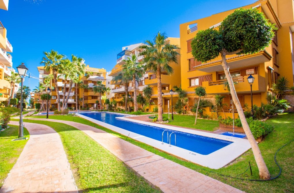  - Apartment - Punta Prima - La Recoleta