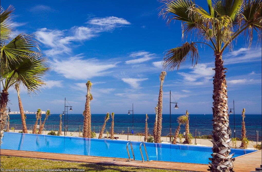  - Apartment - Punta Prima - Panorama Mar