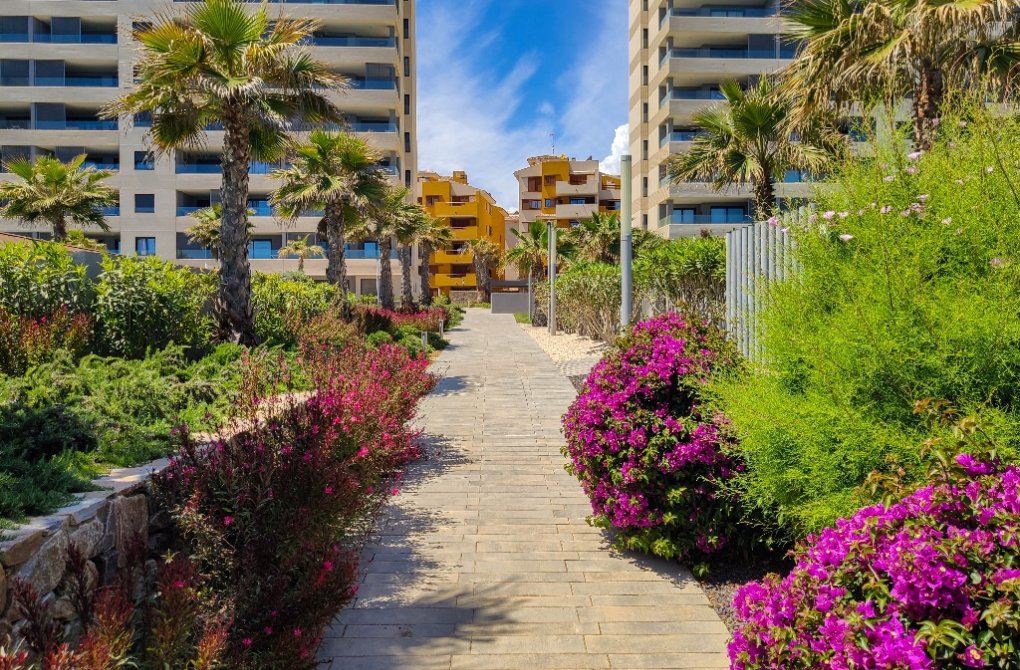  - Apartment - Punta Prima - Panorama Mar