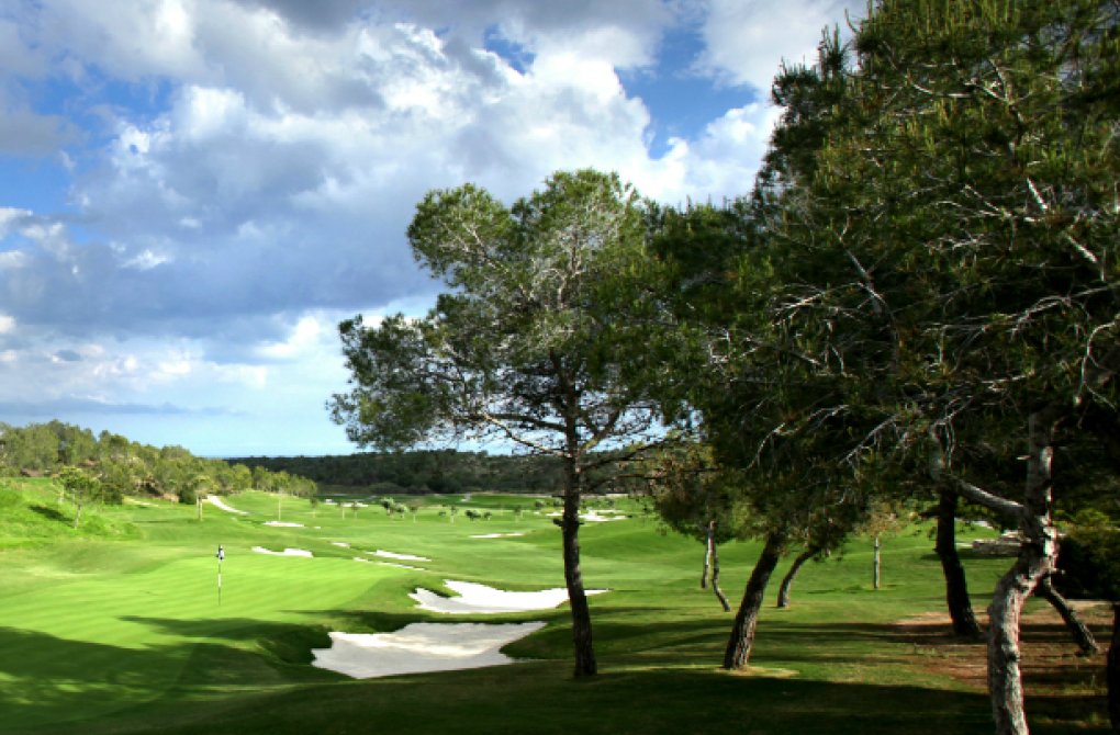 New build - Villa - Las Colinas - Las Colinas Golf