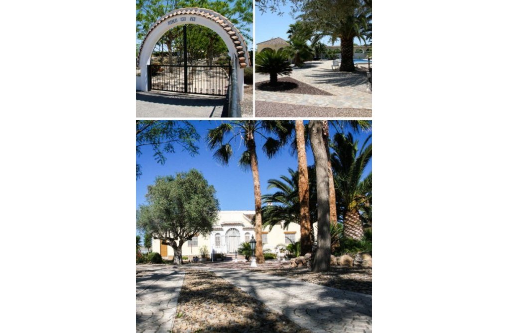 Вторичное жилье -  - Daya Vieja