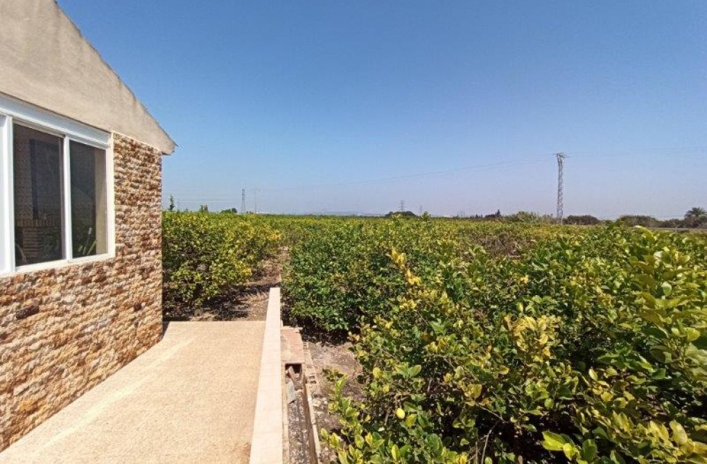 Вторичное жилье -  - San Miguel de Salinas