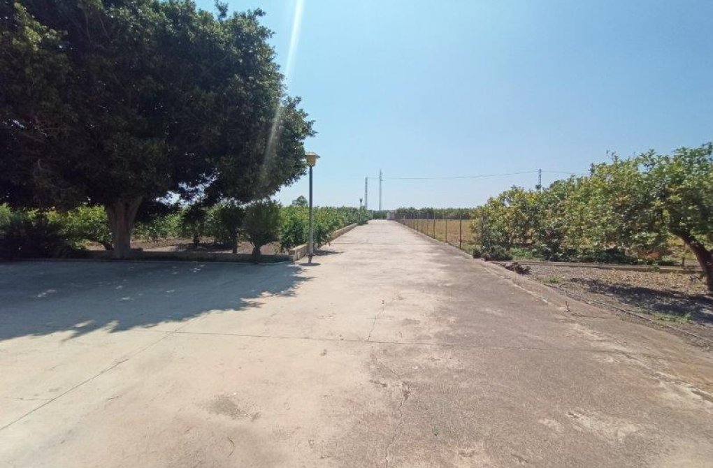 Вторичное жилье -  - San Miguel de Salinas