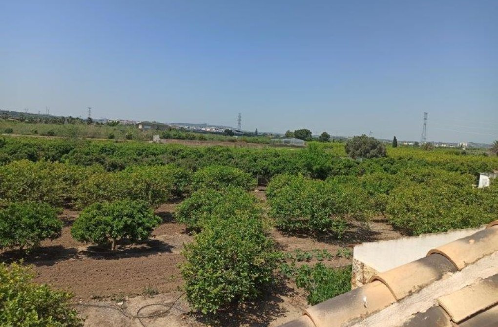 Вторичное жилье -  - San Miguel de Salinas