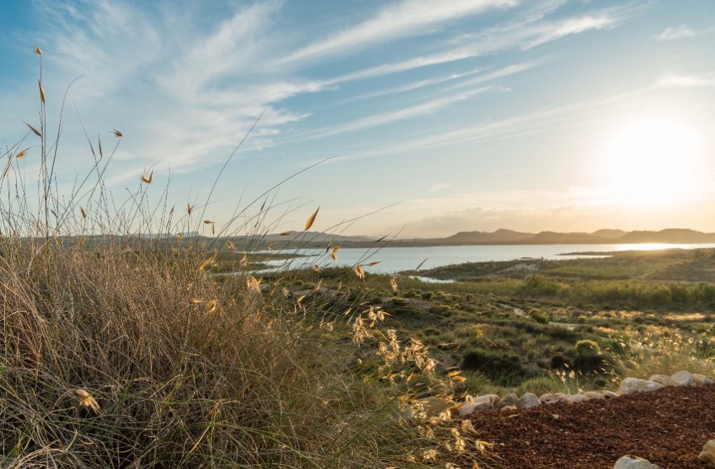 Resale - Villa - Costa Blanca - Orihuela Costa