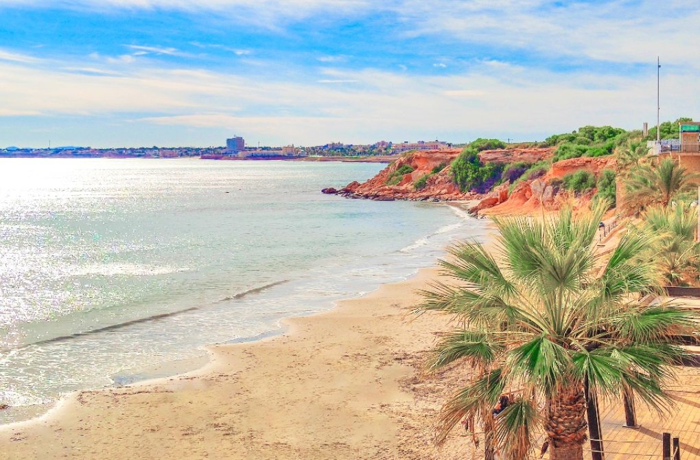 Rynek pierwotny - Apartament - Torrevieja - torrevieja