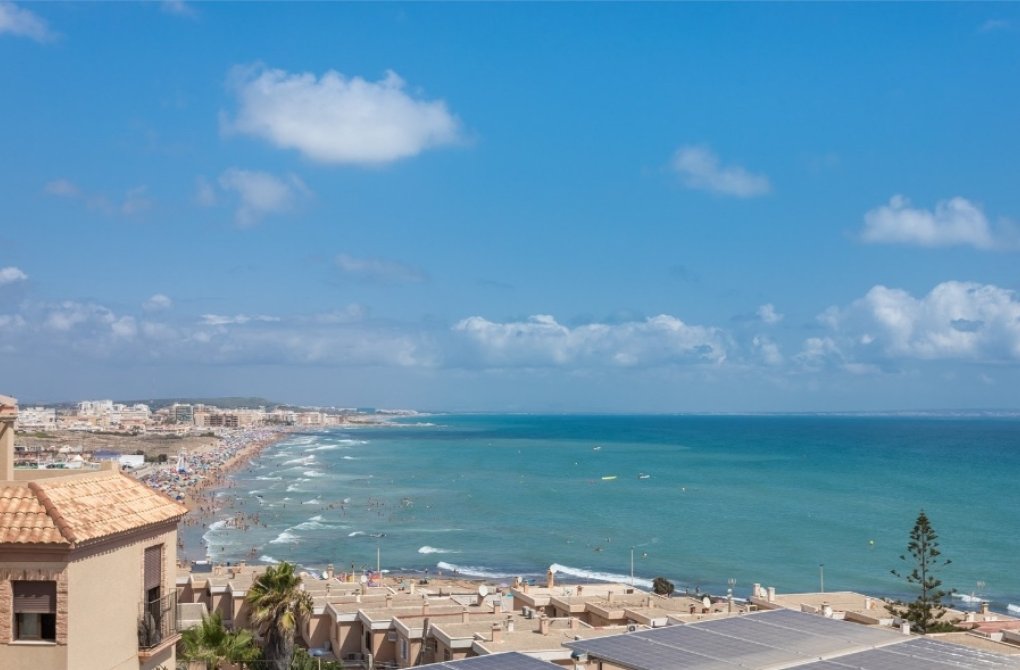 Obra nueva - Chalet - Torrevieja - torrevieja