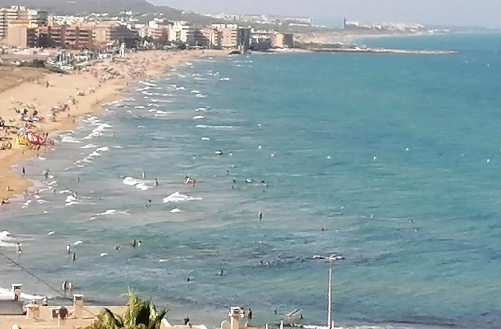 Obra nueva - Chalet - Torrevieja - torrevieja