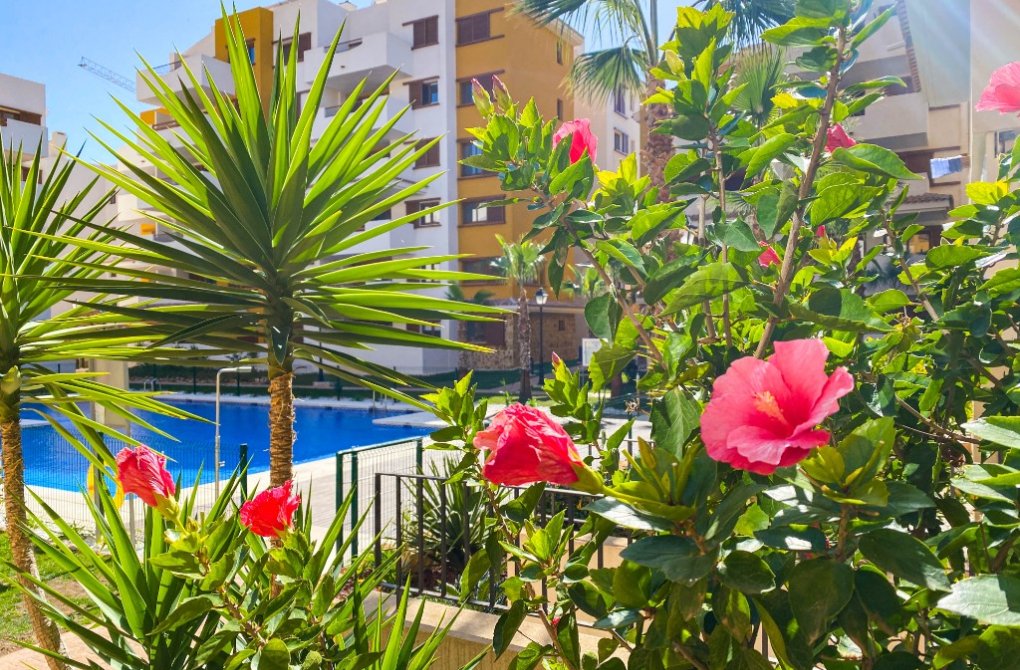  - Apartment - Punta Prima - La Recoleta