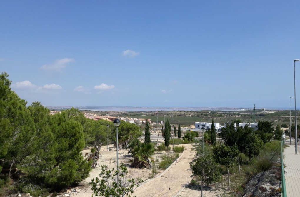 New build - Villa - San Miguel de Salinas