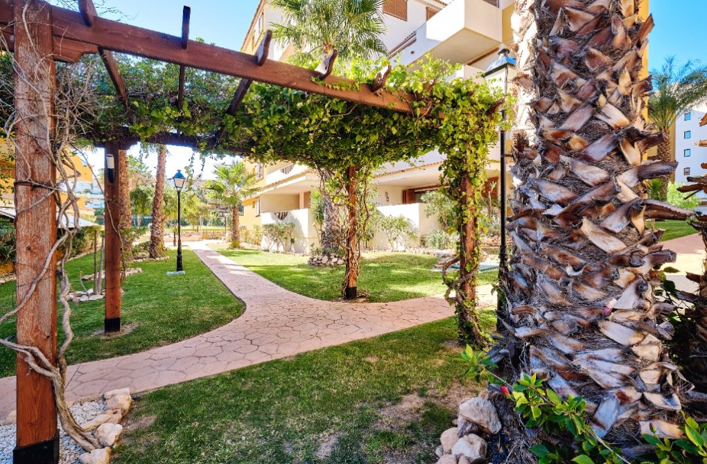  - Apartment - Punta Prima - La Entrada