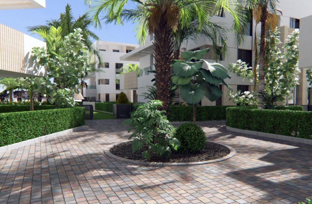 Rynek pierwotny - Apartament - Los Alcázares