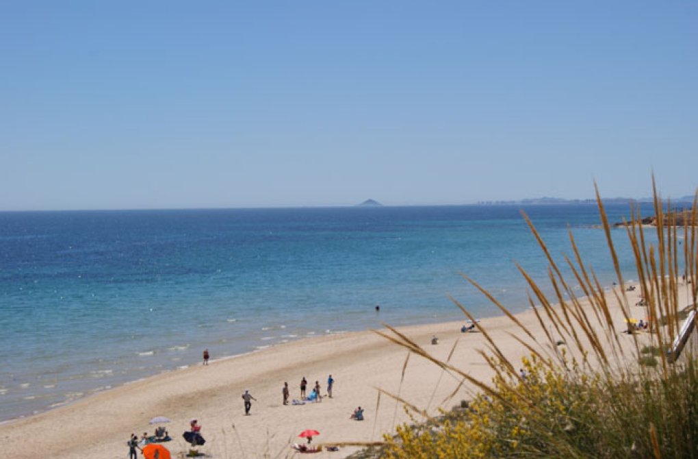 New build - Townhouse - Pilar de la Horadada - TORRE DE LA HORADADA