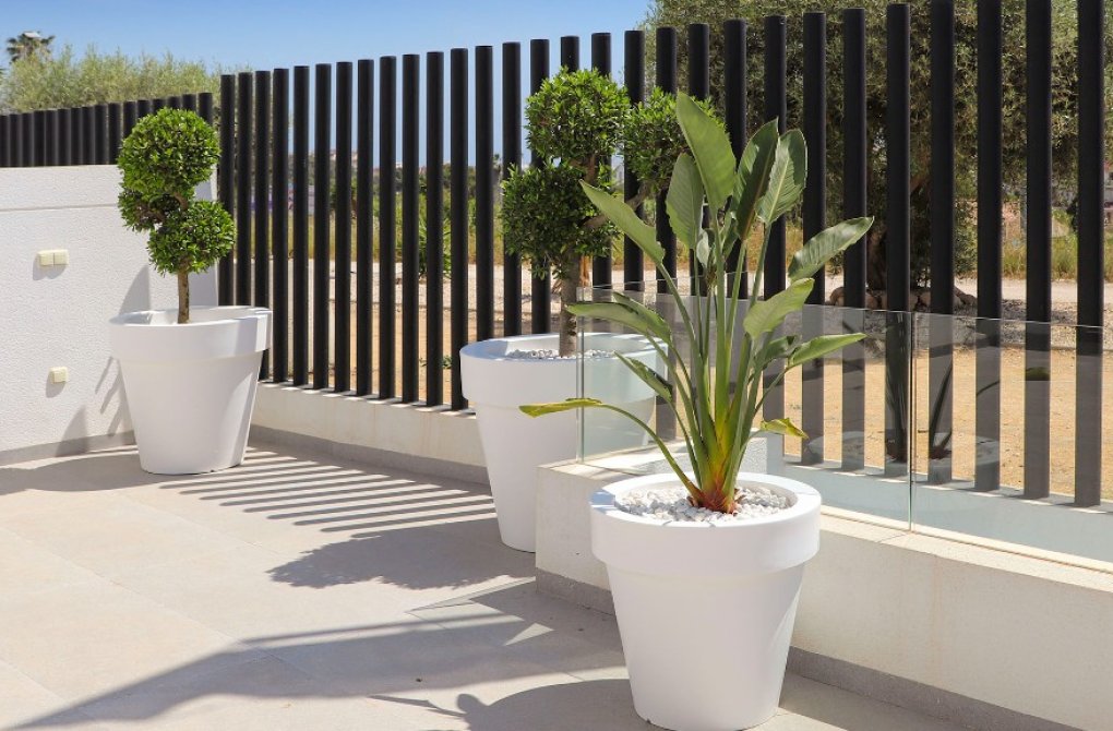 New build - Villa - Guardamar del Segura