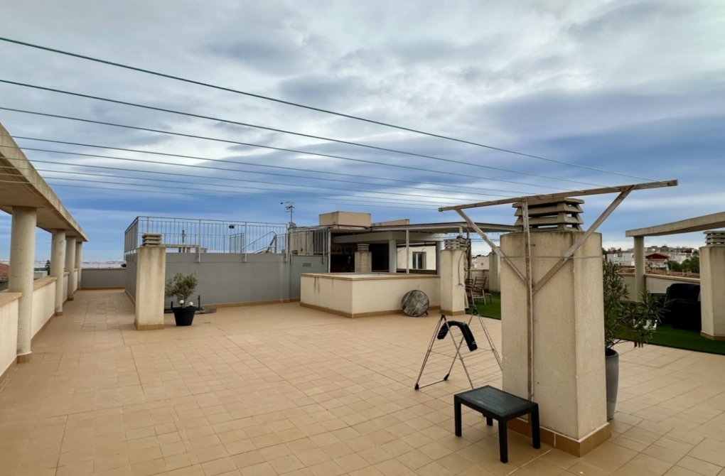 Resale - Apartment - San Miguel de Salinas