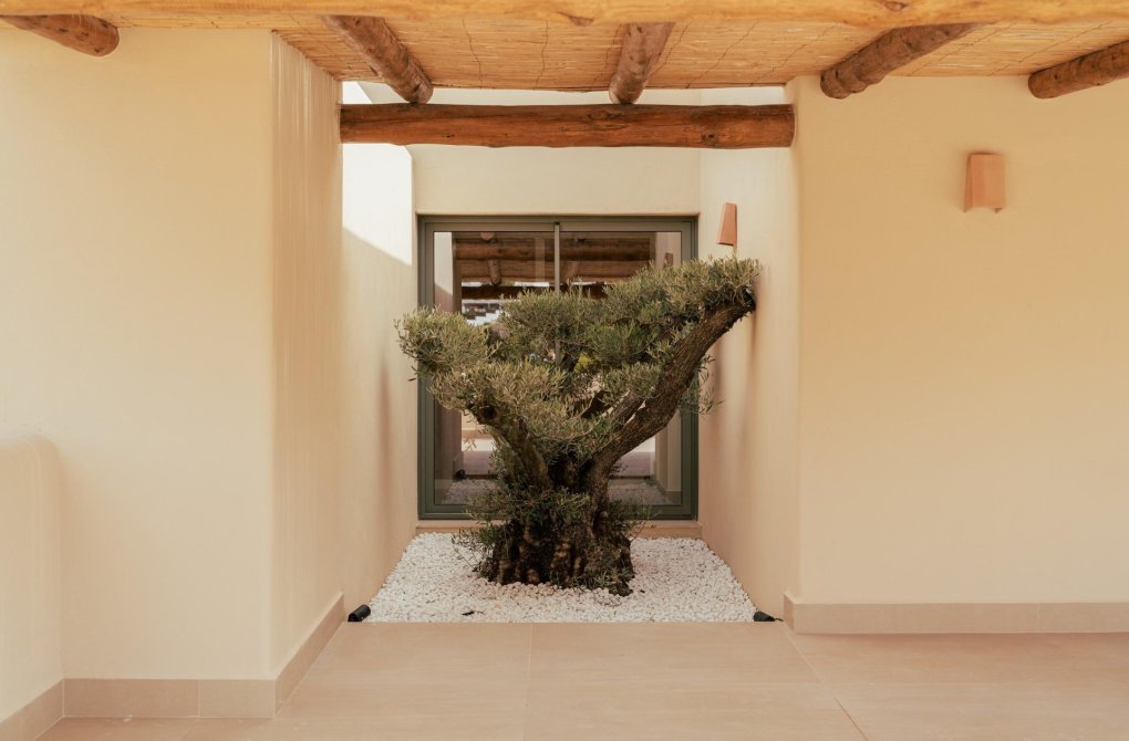 Obra nueva - Chalet - Jávea Xàbia - Valle del Sol