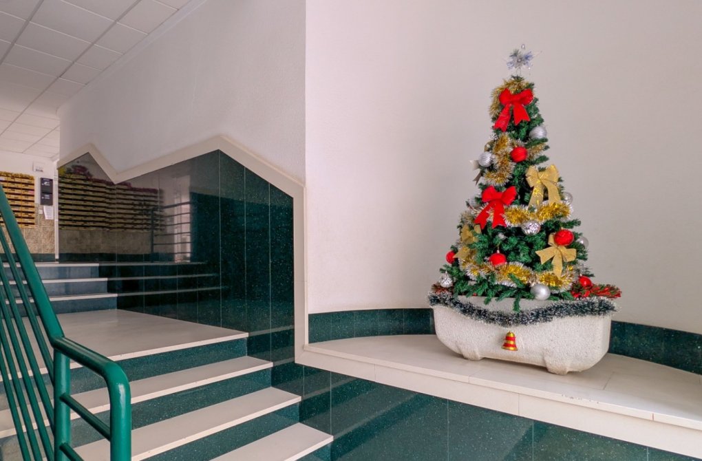 Reventa - Apartamento - Torrevieja