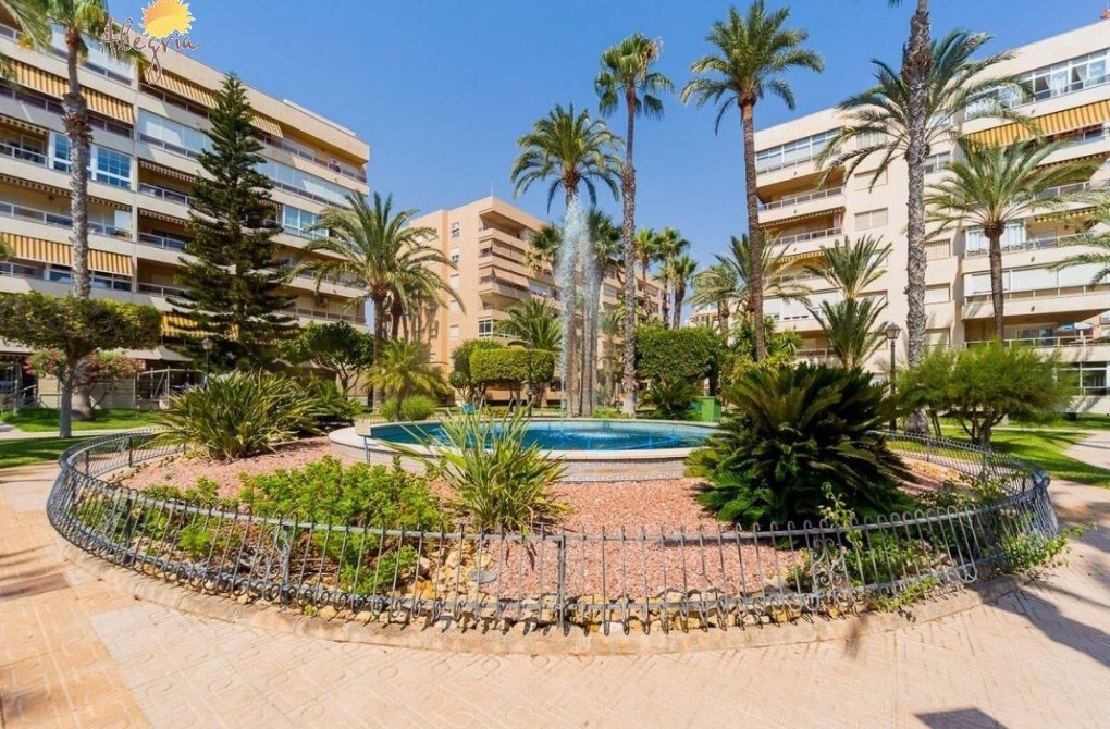 Rynek wtórny - Penthouse - Torrevieja - Playa de los locos