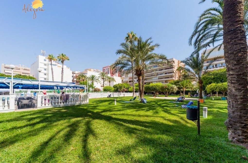 Rynek wtórny - Penthouse - Torrevieja - Playa de los locos