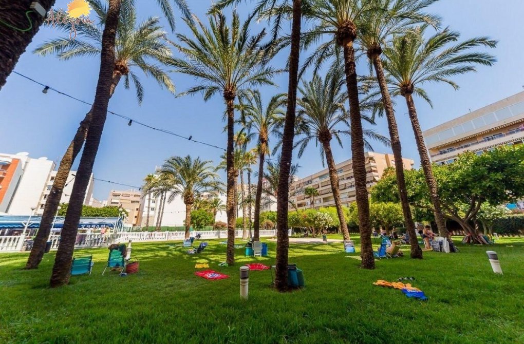 Rynek wtórny - Penthouse - Torrevieja - Playa de los locos