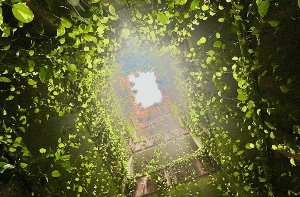 Rynek wtórny - Apartament - Torrevieja - Playa del cura