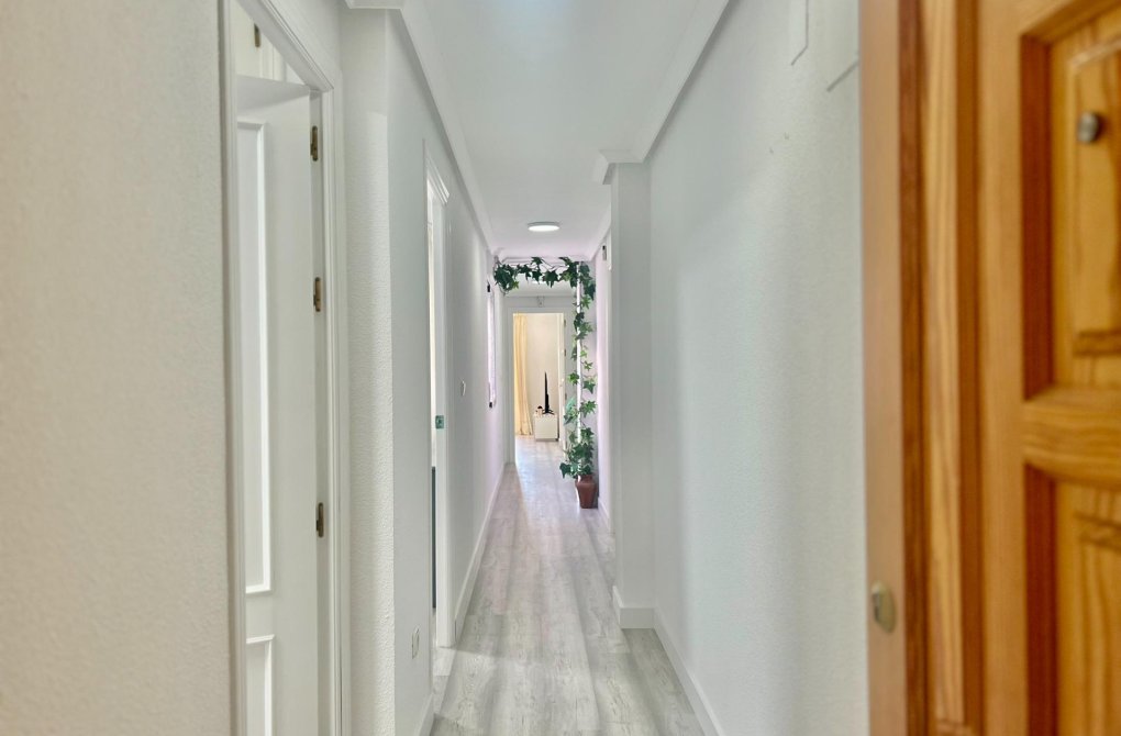 Rynek wtórny - Apartament - Torrevieja - Playa del cura