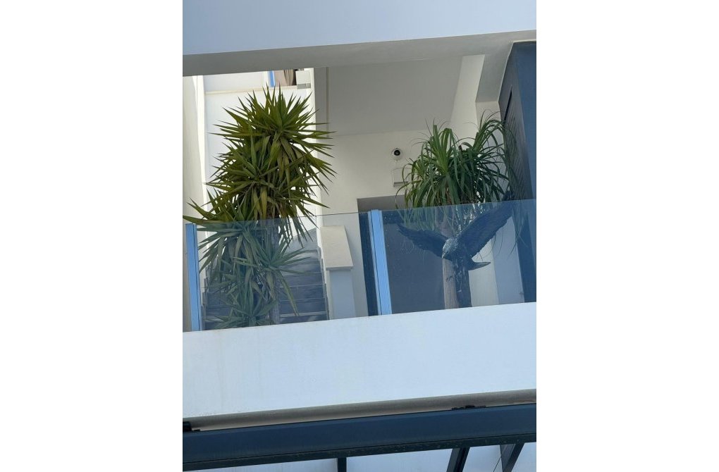 Rynek wtórny - Willa - Orihuela Costa - PAU 26