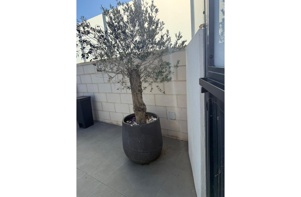 Rynek wtórny - Willa - Orihuela Costa - PAU 26