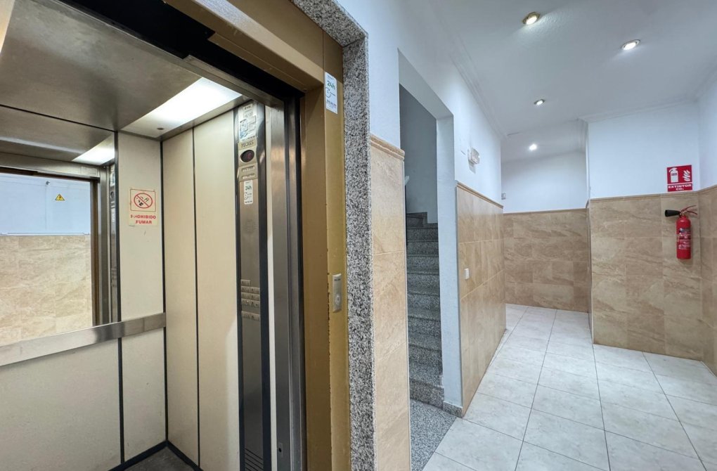 Rynek wtórny - Apartament - Torrevieja - Estacion de autobuses