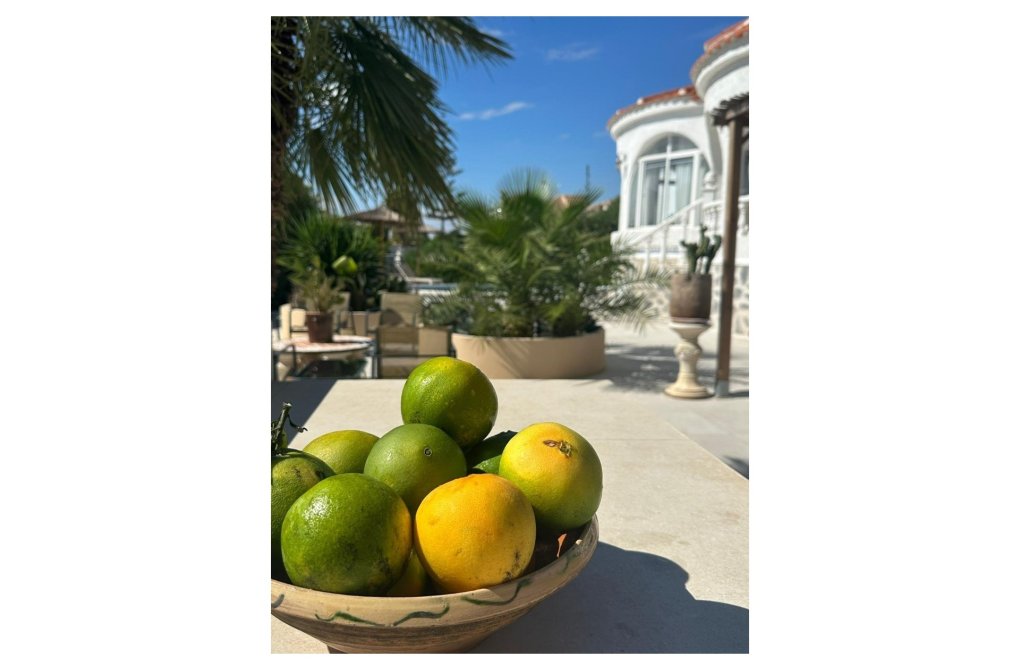 Resale - Villa - Torrevieja - San luis