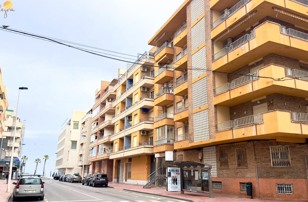 Rynek wtórny - Apartament - Torrevieja - Playa del cura