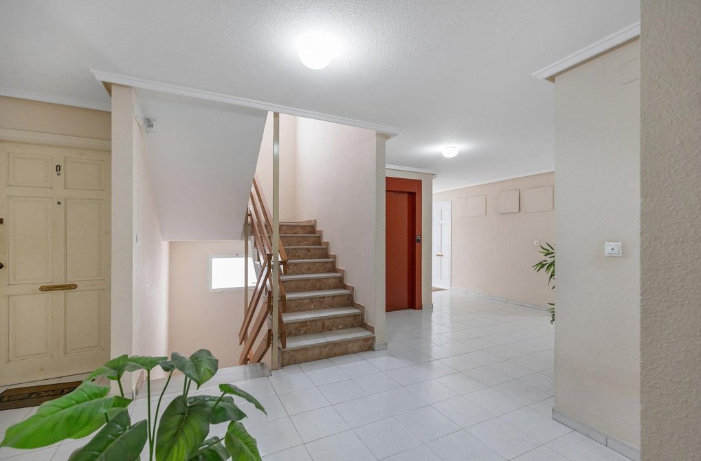 Вторичное жилье - Квартира - Torrevieja - Estacion de autobuses