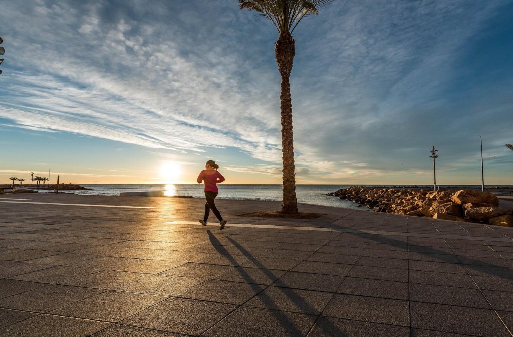 Nowy budynek - Daszek - Torrevieja - Torreblanca