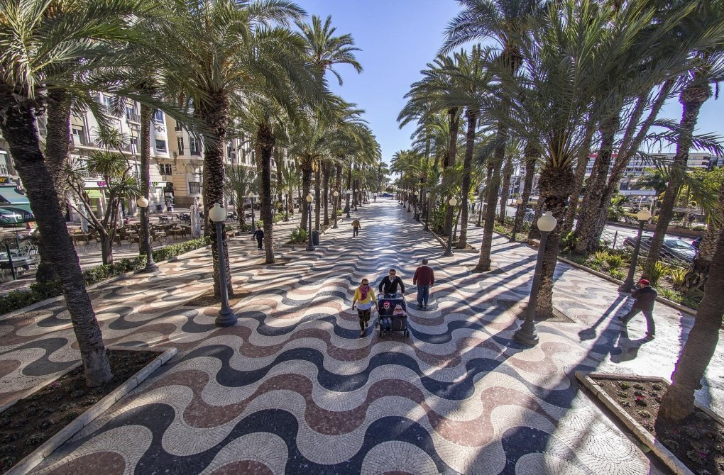 Rynek pierwotny - Daszek - Torrevieja - Torreblanca