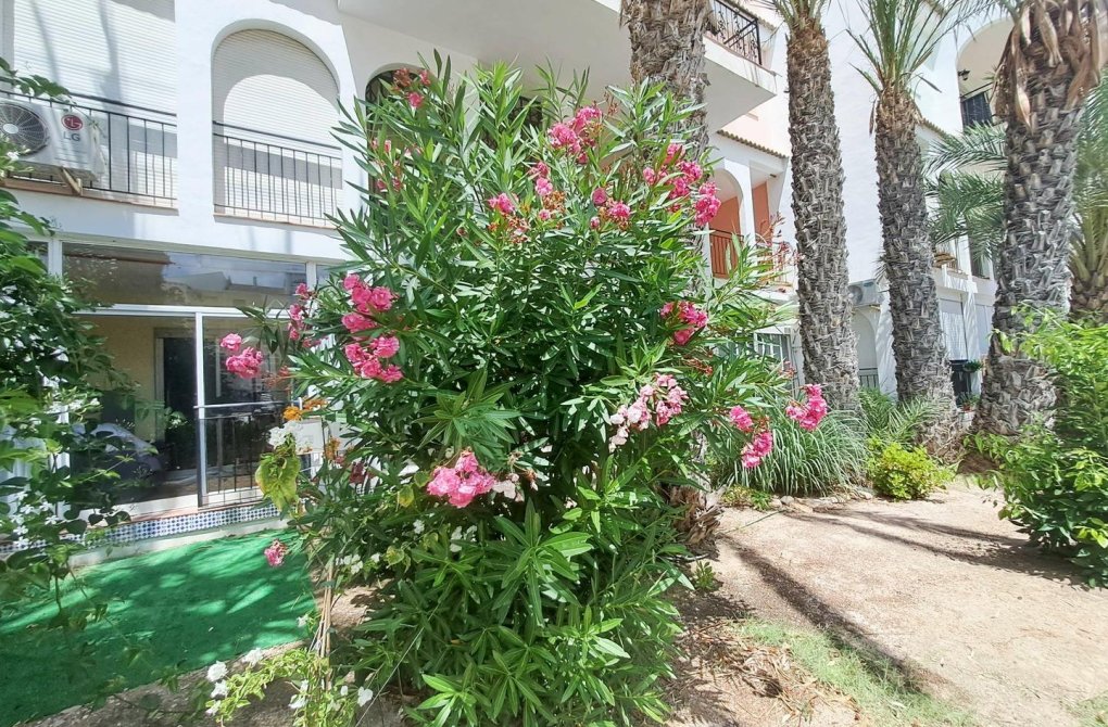 Rynek wtórny - Apartament - Torrevieja - La veleta