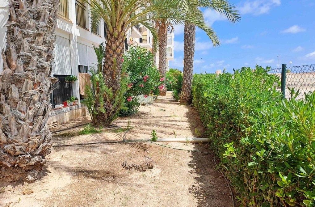 Перепродажа - Квартира - Torrevieja - La veleta