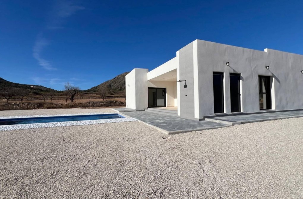 Obra nueva - Villa - Jumilla - Torre del Rico