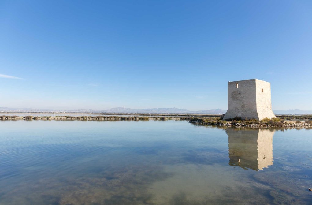 Obra nueva - Departamento - Santa Pola - Eroski