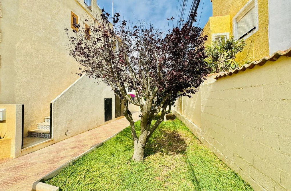 Resale - Bungalow - Torrevieja - El chaparral