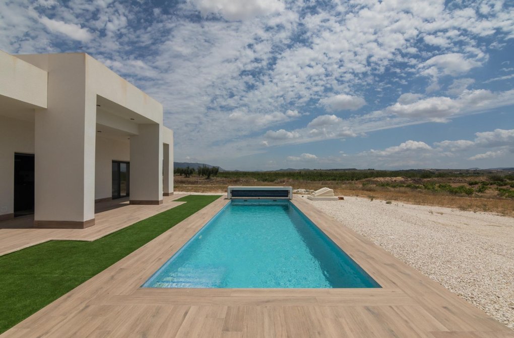 Obra nueva - Villa - Pinoso - Campo