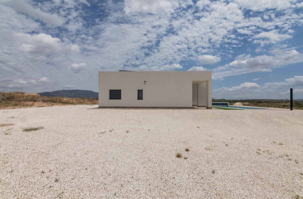 Obra nueva - Villa - Pinoso - Campo