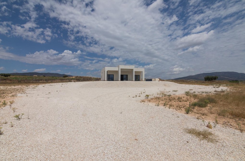 Obra nueva - Villa - Pinoso - Campo